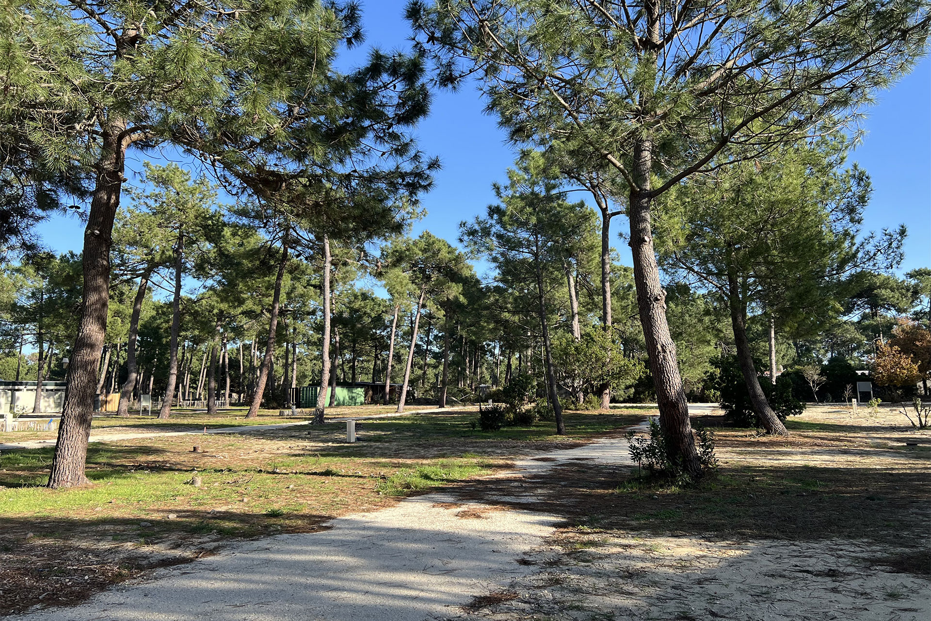 Emplacements de camping à Montalivet