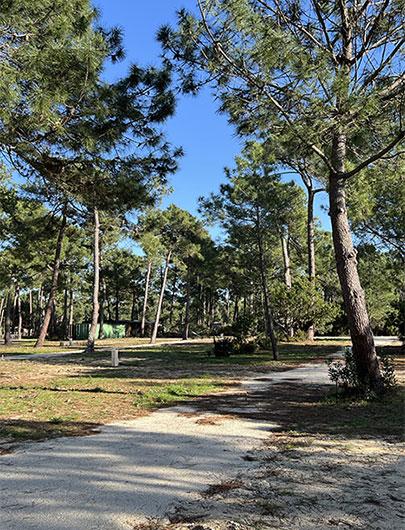 Emplacement Confort avec électricité pour tente du camping Montacabana à Montalivet en Gironde