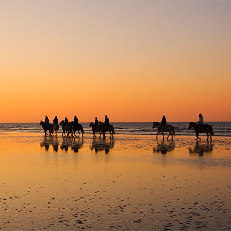 Balade à cheval en bord de mer